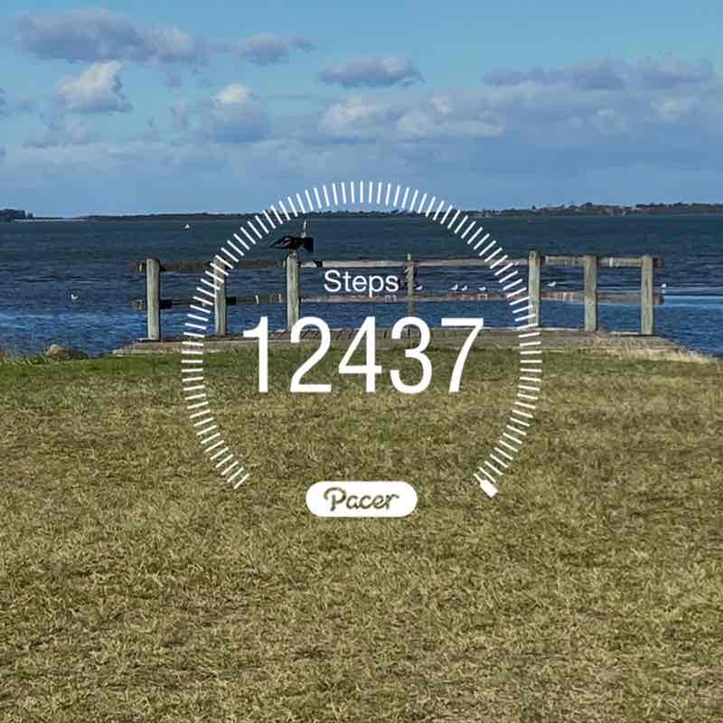 Breanna 🦋🐳 post 2