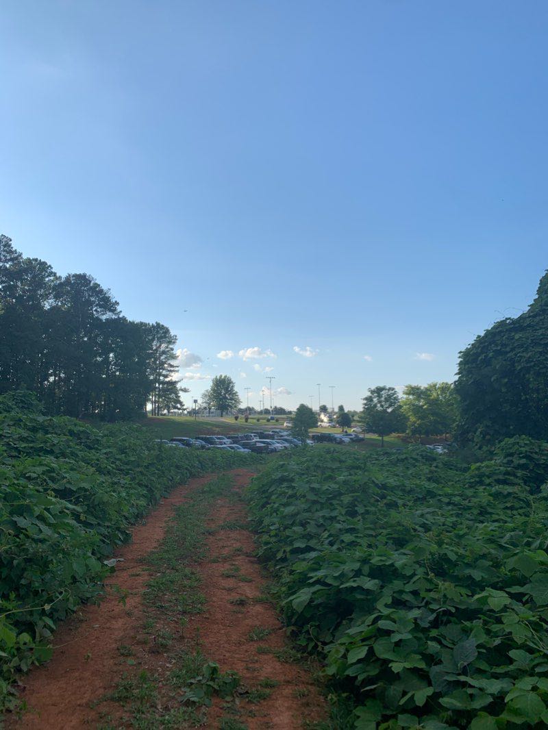 walking near me in Palmer Park in winter