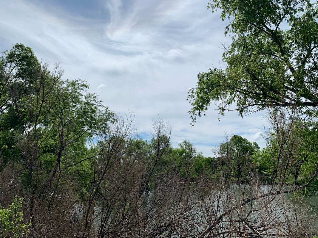 walking near me in Josey Ranch Lake Park in winter