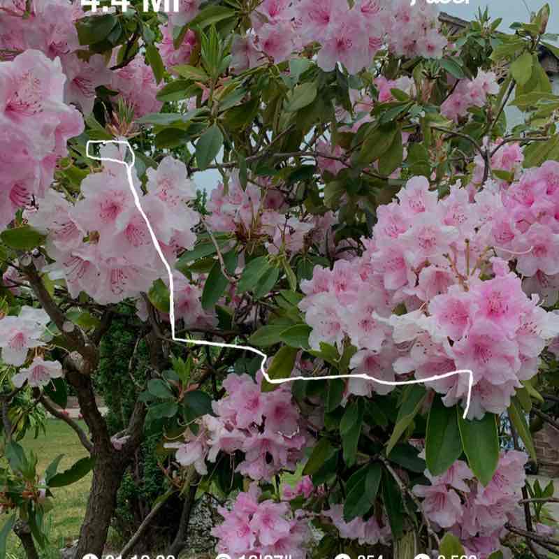 Sarah🏃🏻‍♀️ post 1