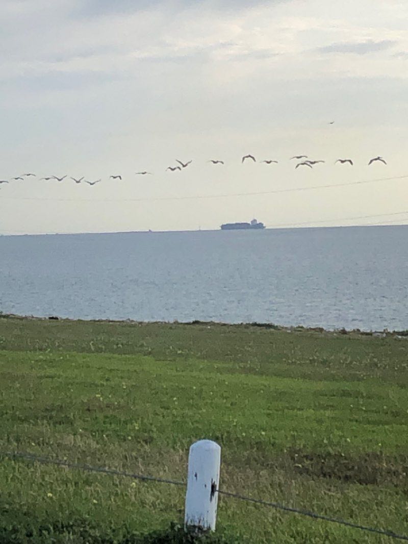 walking near me in Bay Street Park in winter