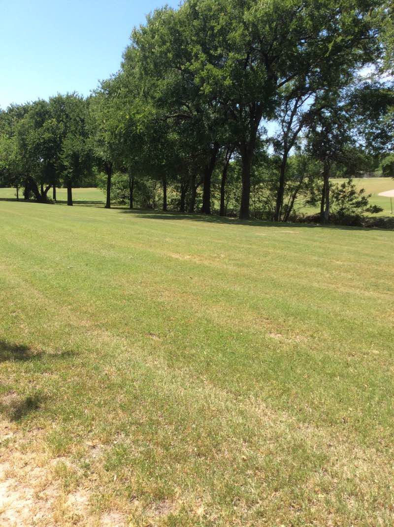 walking near me in Hawn Park in winter