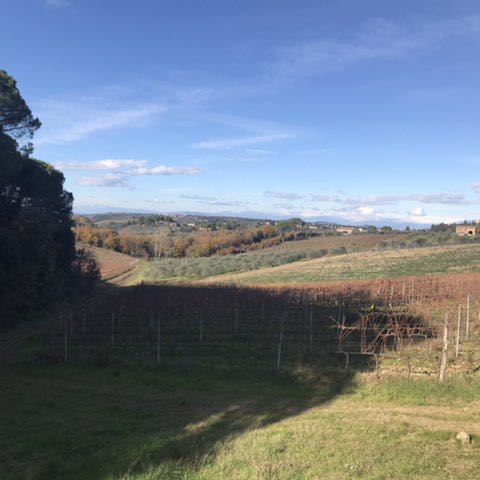 danielecavari post 2