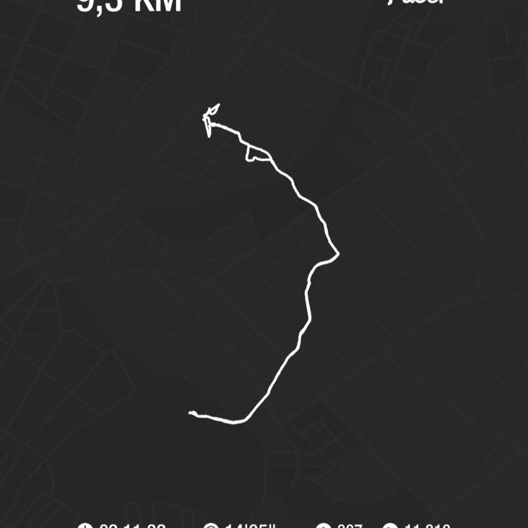 danielecavari post 1