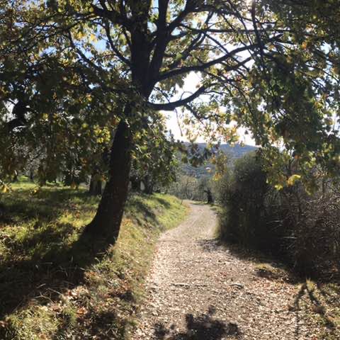 danielecavari post 3