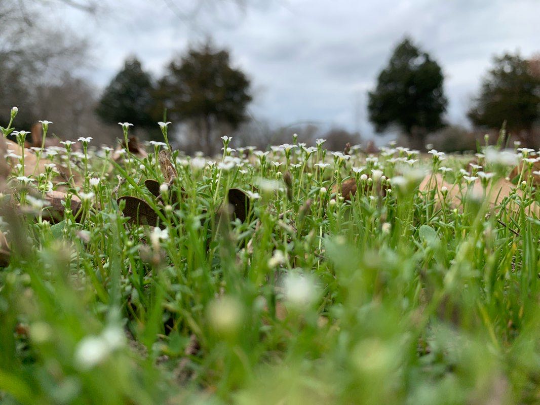 walking near me in Cherry Creek Park in winter