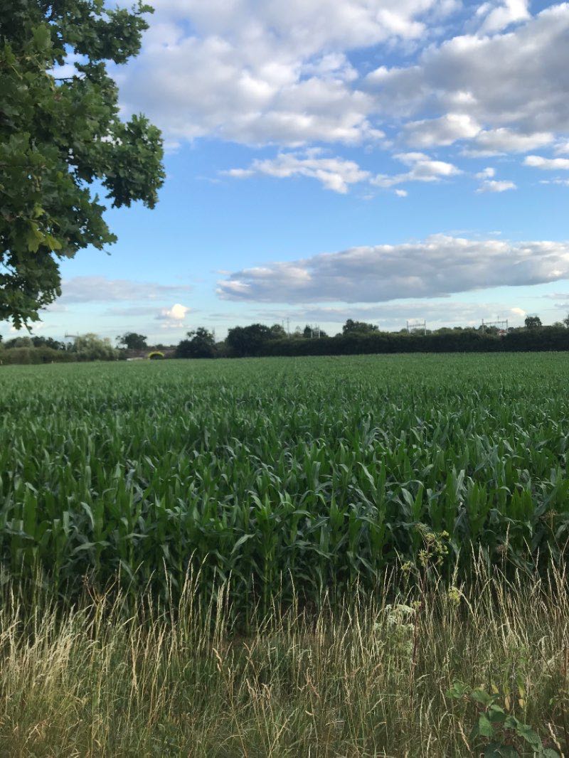 walking near me in Bloom Park in winter