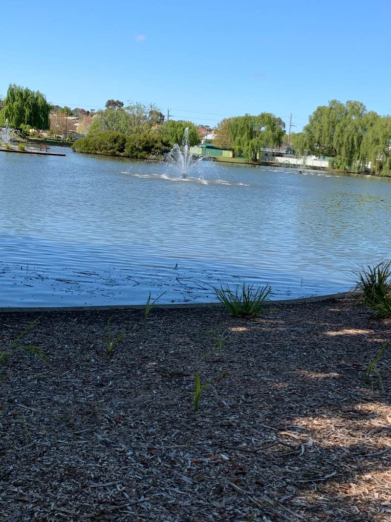 walking near me in Cato Park in summer