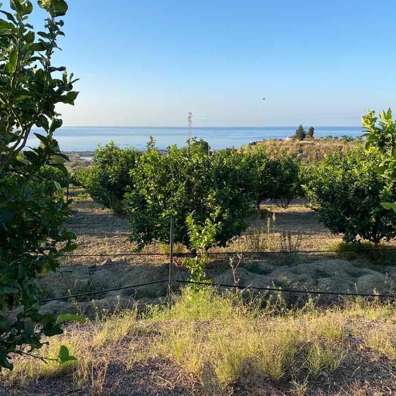 az.ag.italkentie post 2