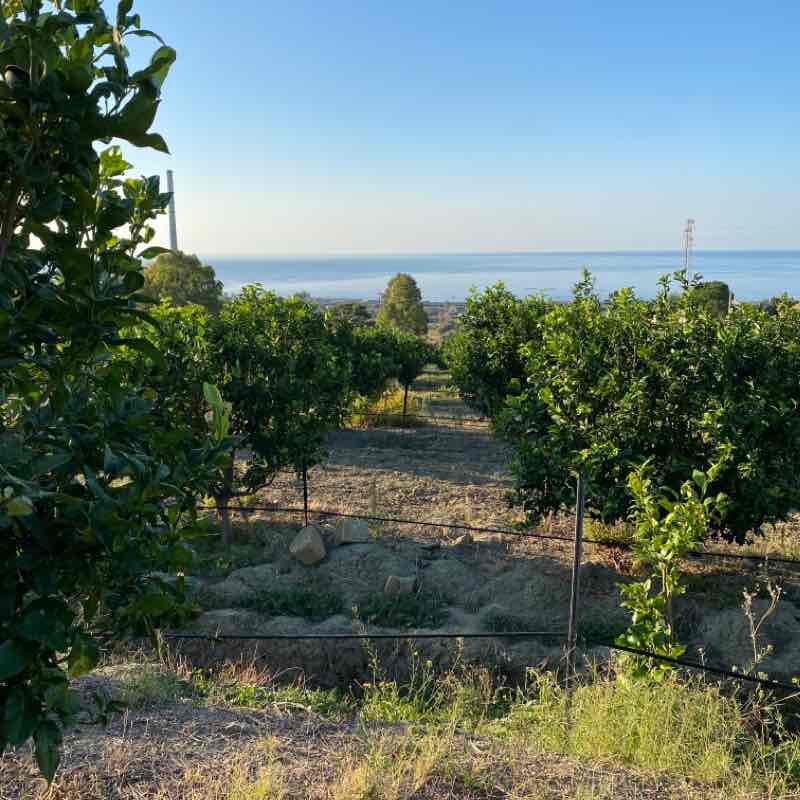 az.ag.italkentie post 3