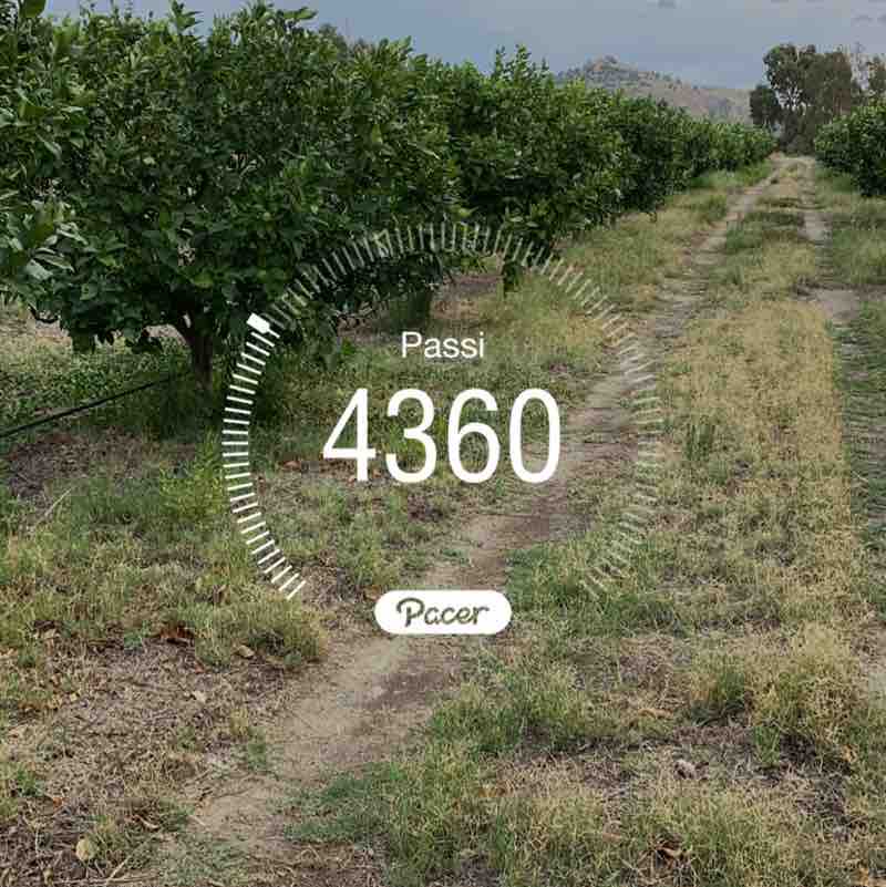 az.ag.italkentie post 1