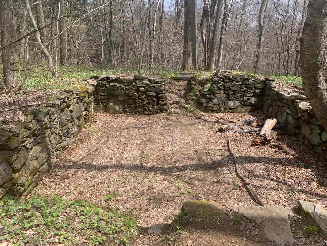 walking near me in Savoy Mountain State Forest in winter