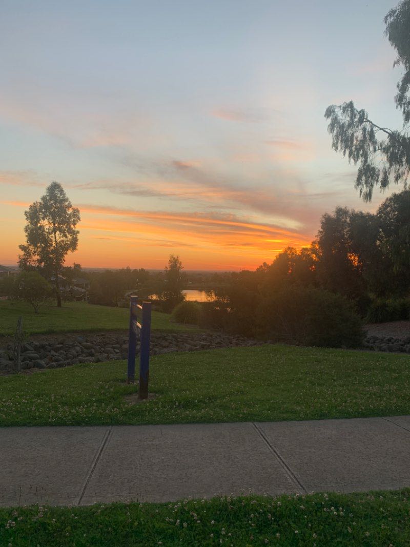 walking near me in Cook Springs Reserve in summer