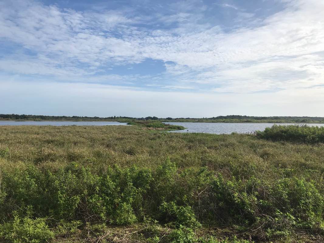 walking near me in Pine Meadows Conservation Easement in winter