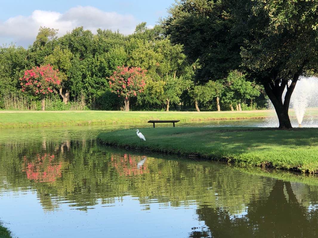walking near me in Fairway Vista Park in winter