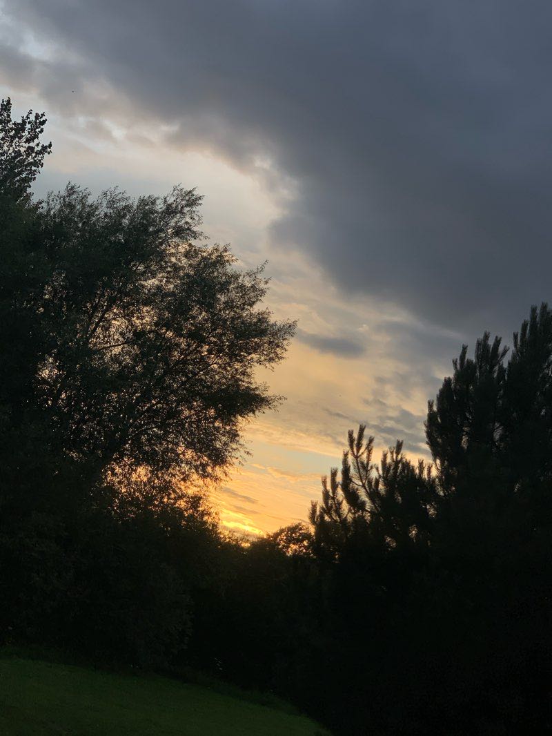 walking near me in Langford Park in winter