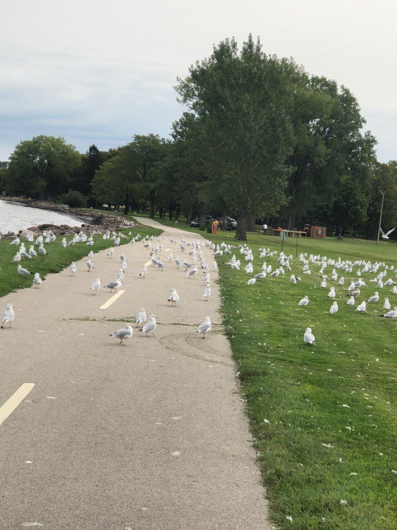 walking near me in Lakeside Park in winter