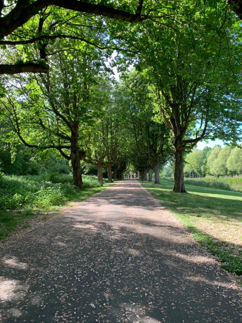 walking near me in Oudorperhout in winter