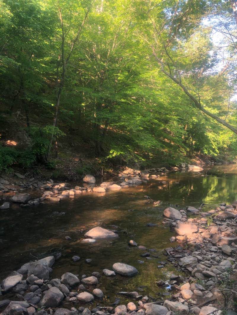 walking near me in Merritt's Pasture in winter