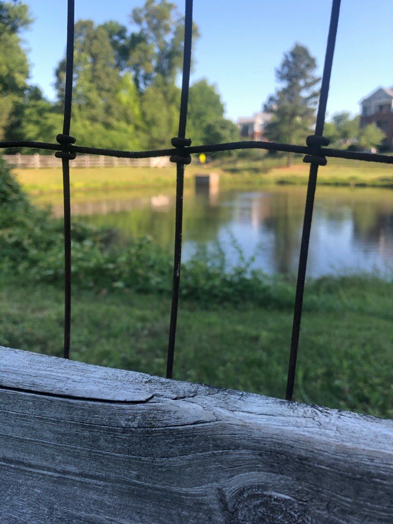 walking near me in Southern Community Park in winter