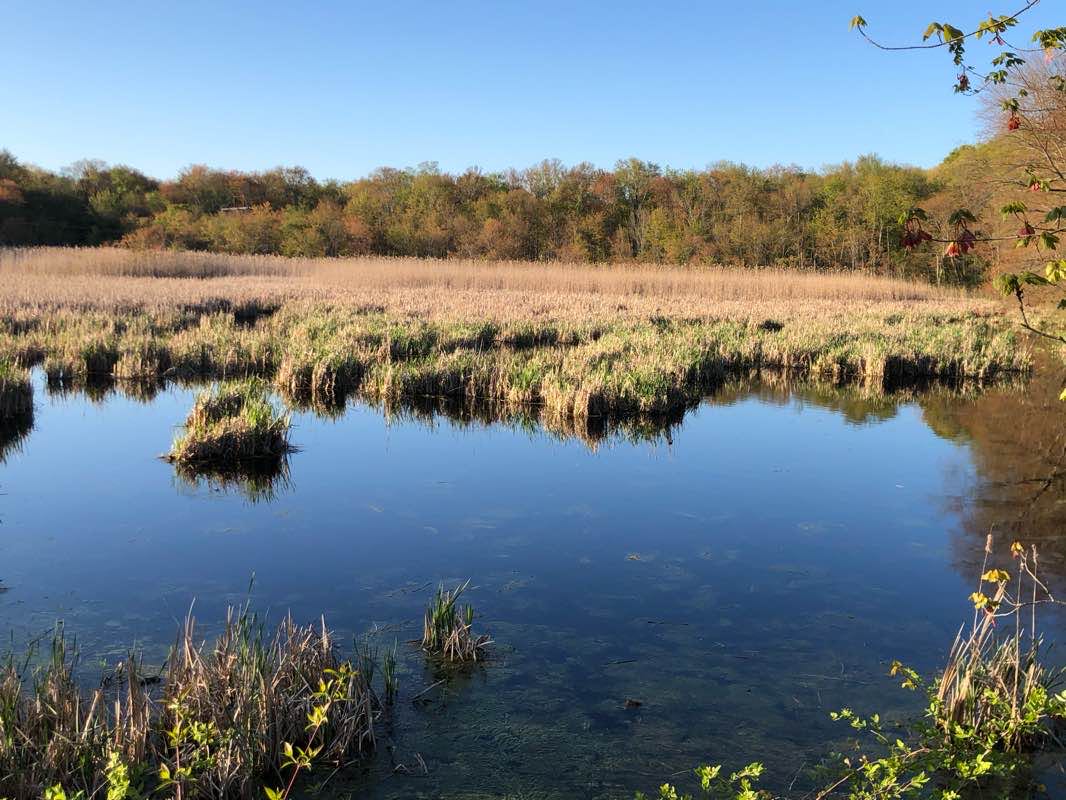 walking near me in Morgan Lake Park in winter