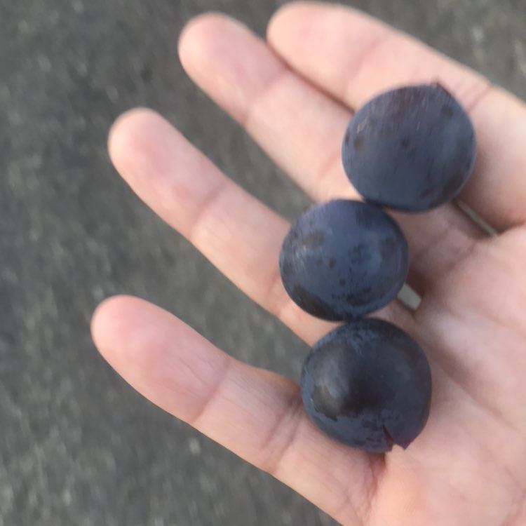 Betty🇦🇷🇮🇹💞💞 post 3