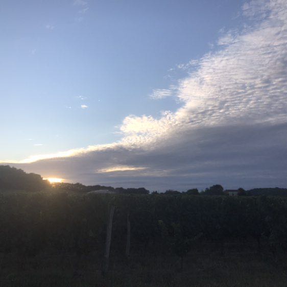 Betty🇦🇷🇮🇹💞💞 post 1