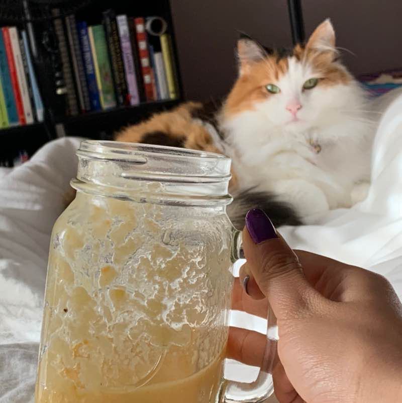 Julia_the_fastest post 1