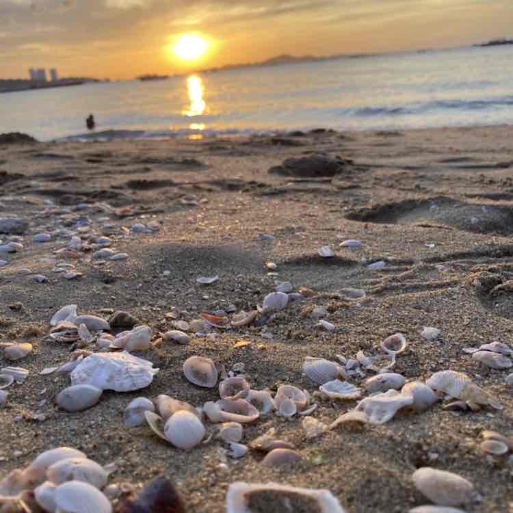 Tuss 🇹🇭 post 2