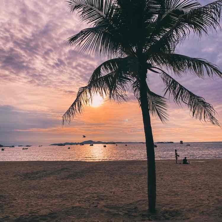 Tuss 🇹🇭 post 3