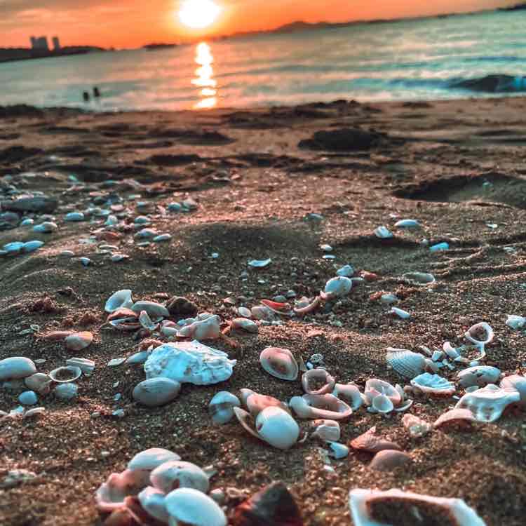 Tuss 🇹🇭 post 3