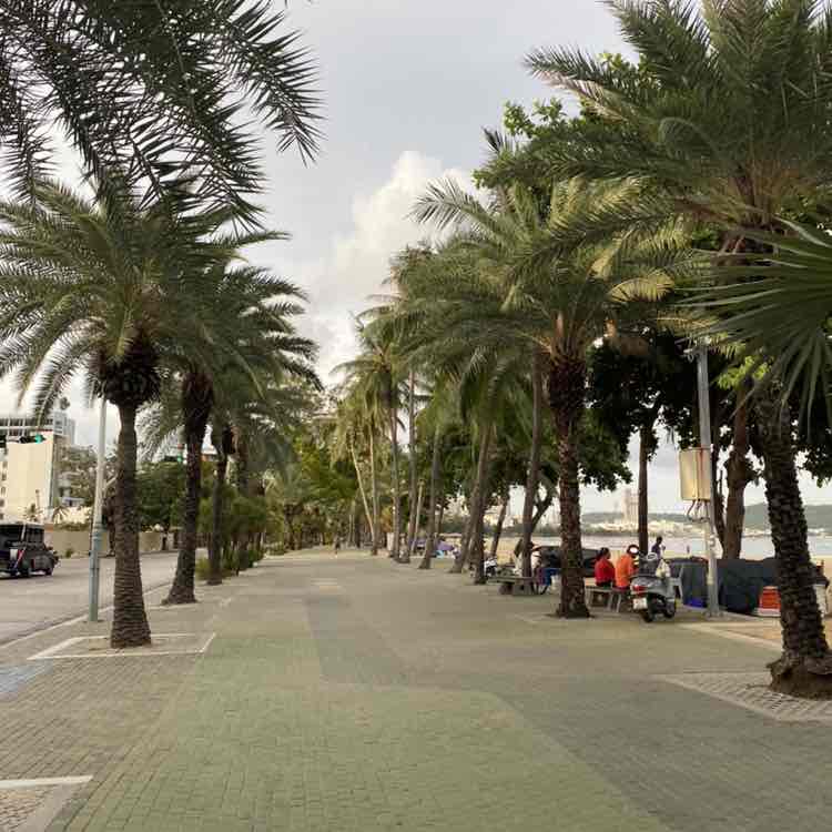 Tuss 🇹🇭 post 2