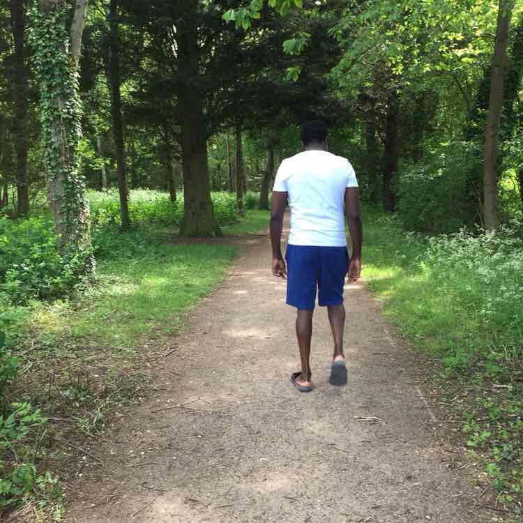 dailywalkingchampion post 1