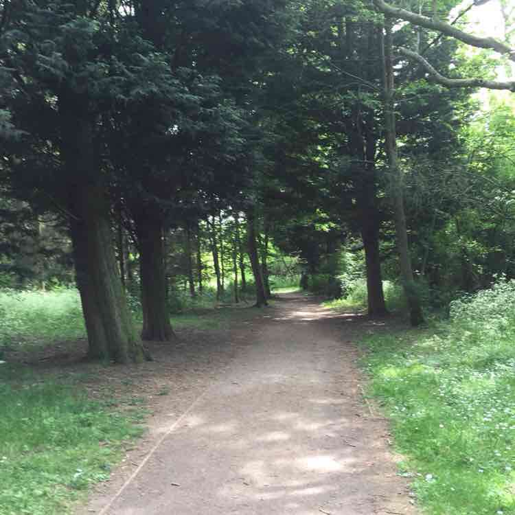 dailywalkingchampion post 3