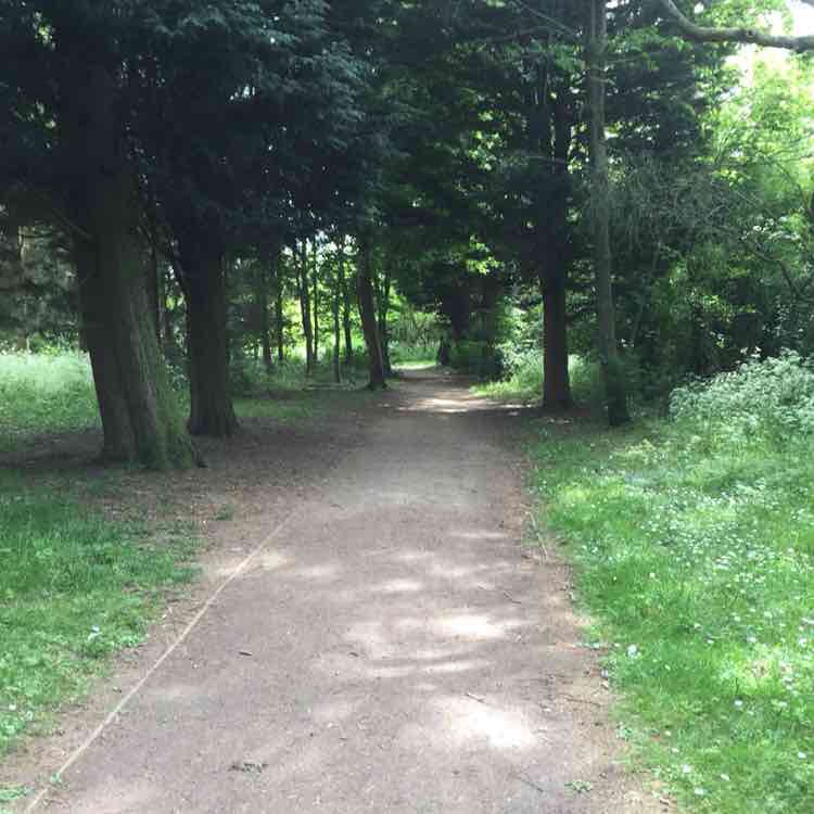 dailywalkingchampion post 2