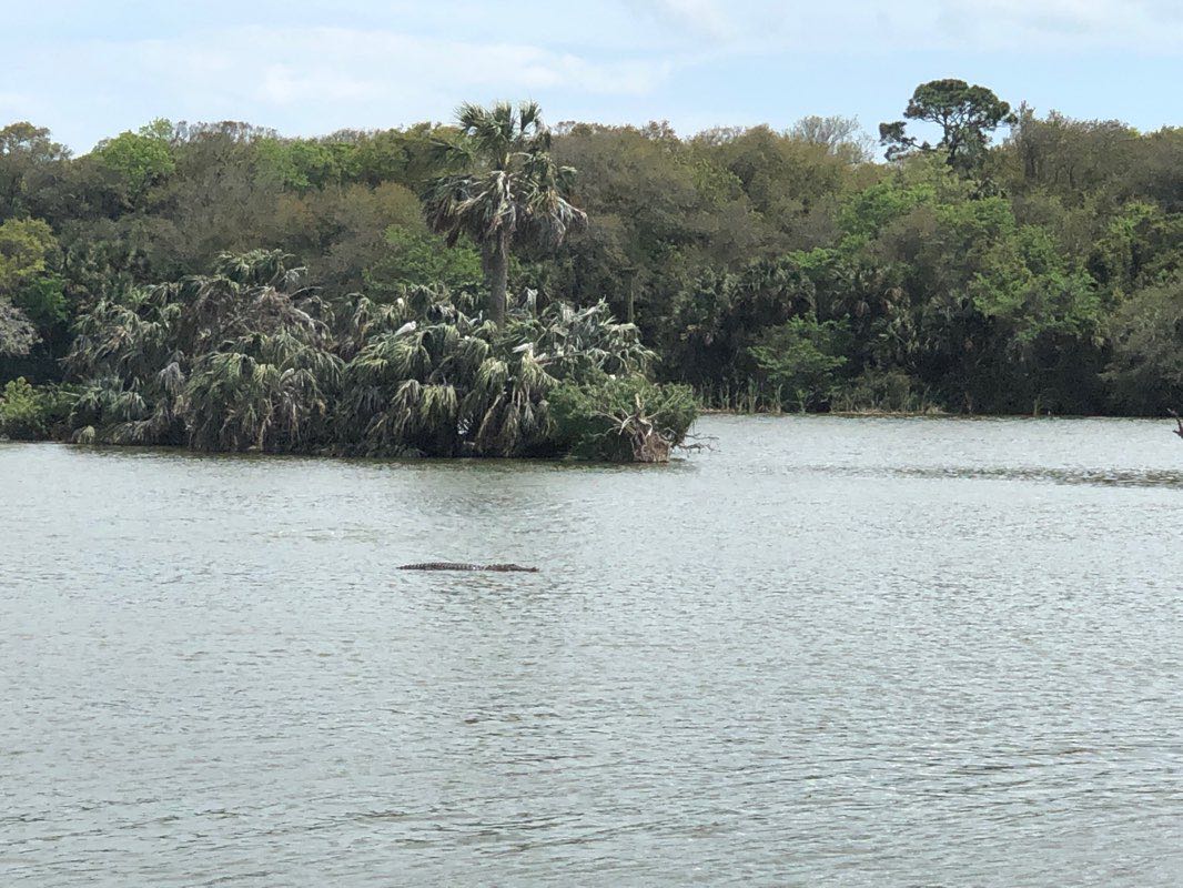 walking near me in Kathryn Abbey Hanna Park in winter