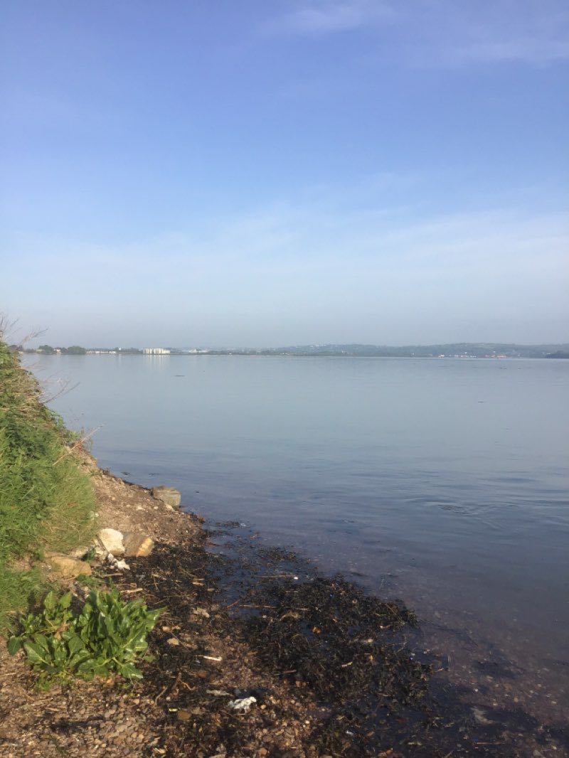 walking near me in Cork Lough in winter