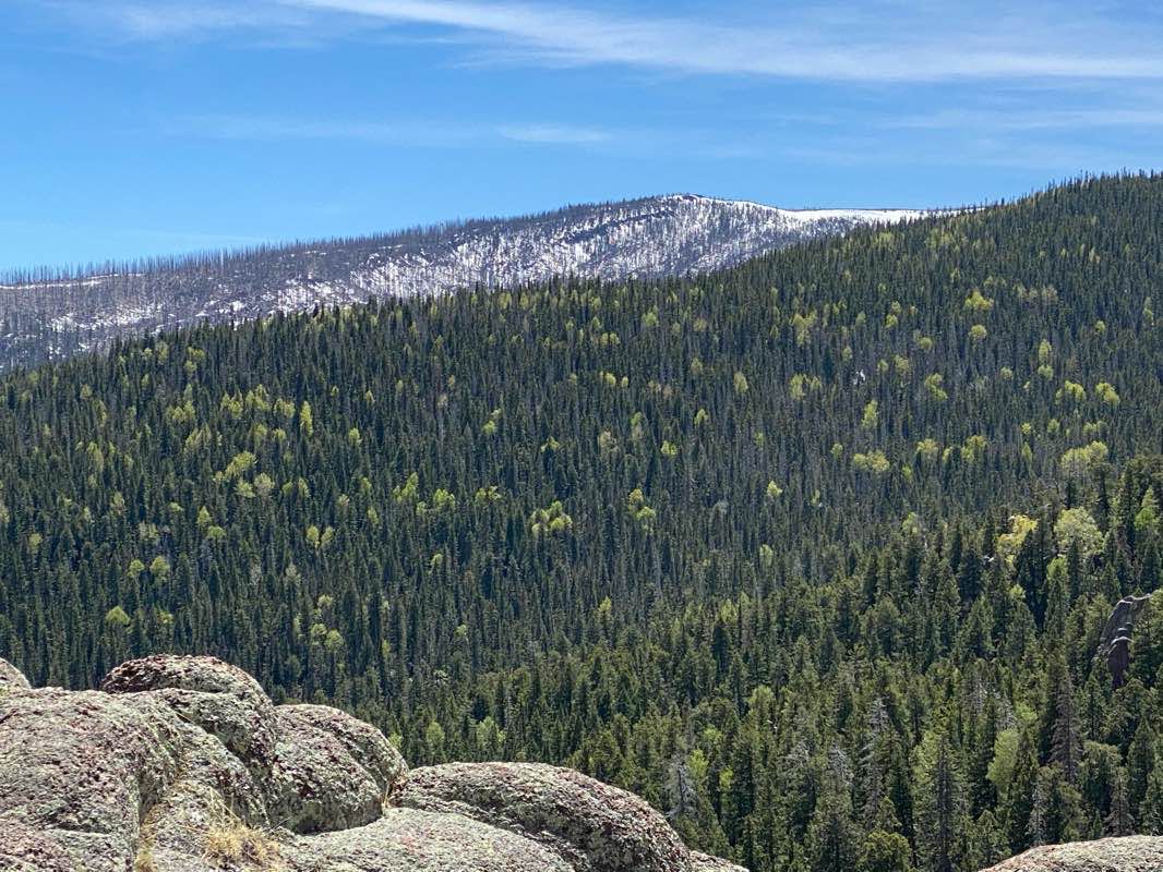 walking near me in Mount Baldy Wilderness in winter