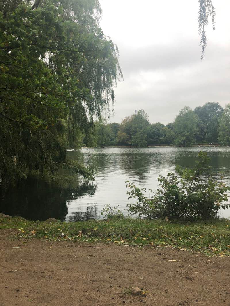 walking near me in Østre Anlæg in winter