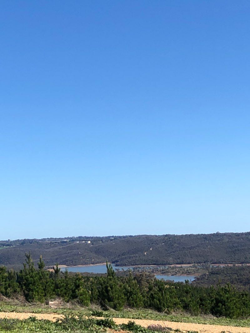 walking near me in Black Hill Conservation Park in summer