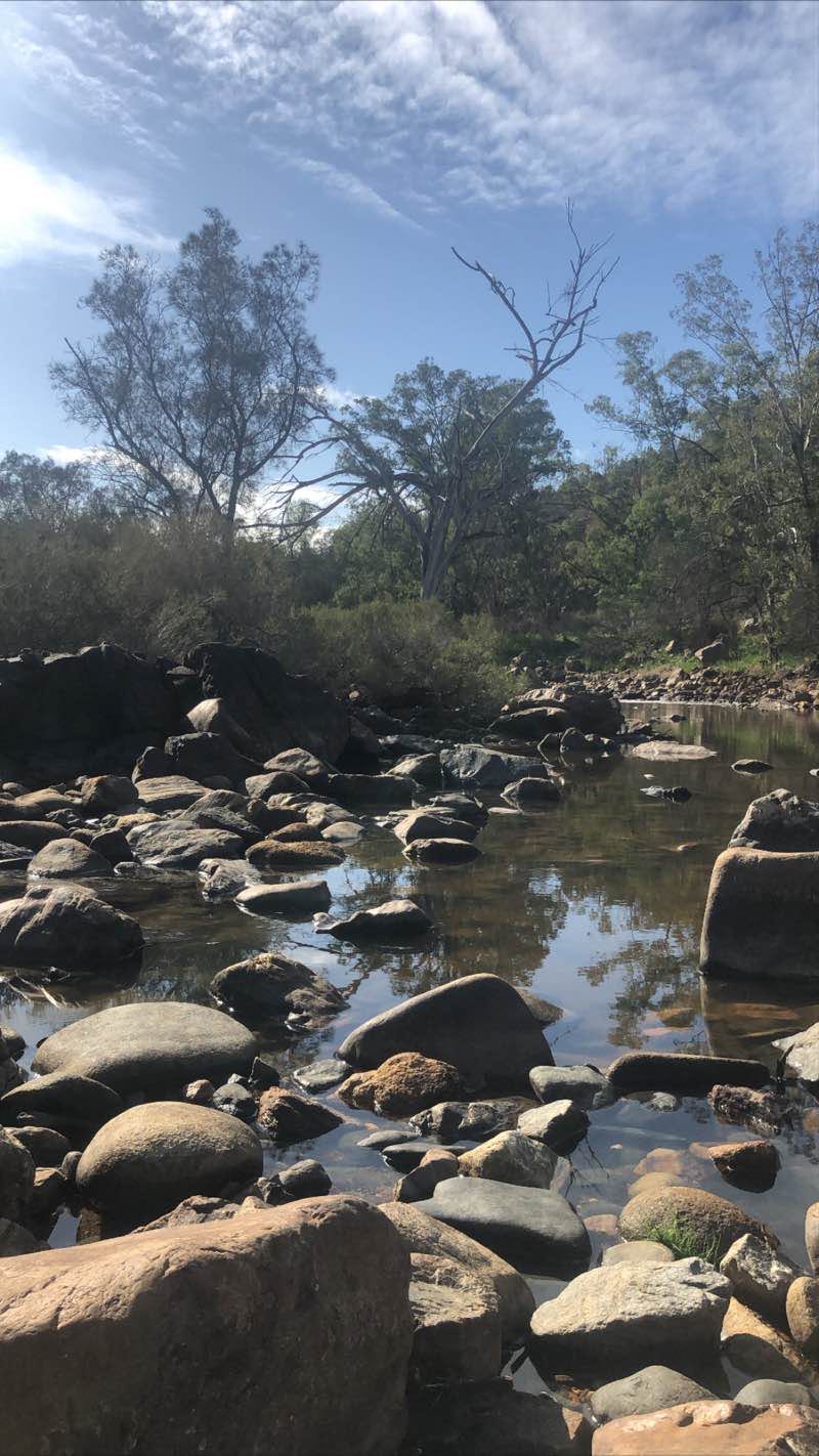 walking near me in Walyunga National Park in summer