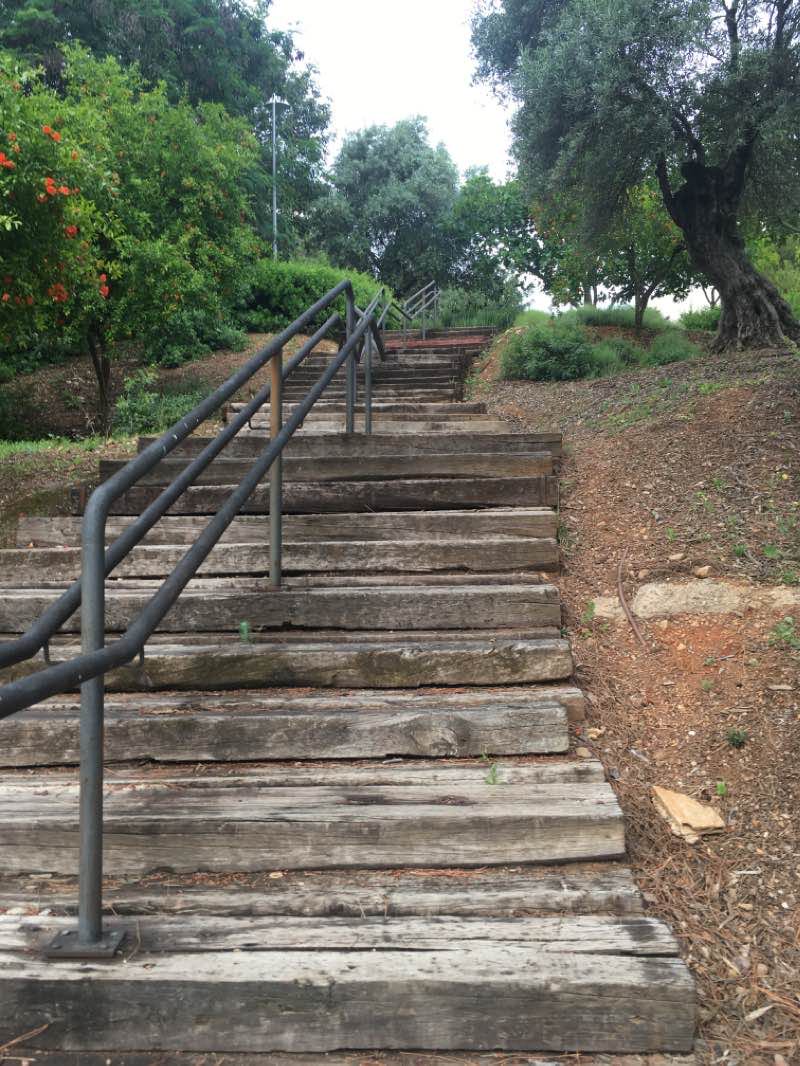 walking near me in Parque de la Asomadilla in winter