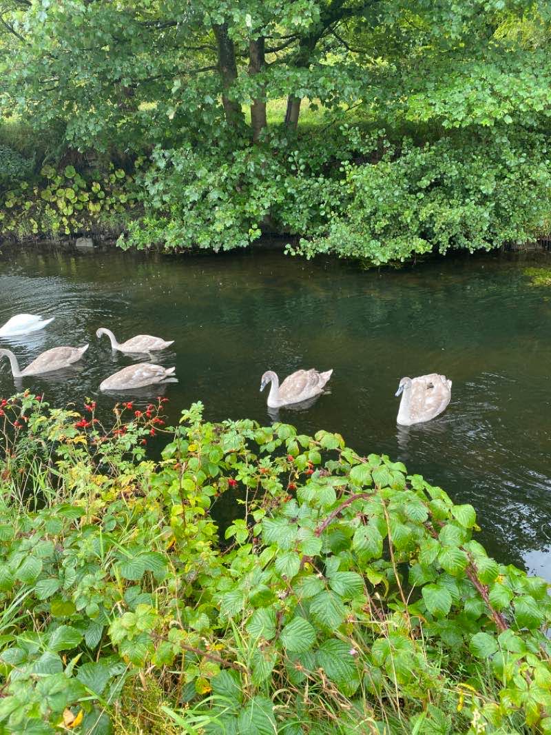 walking near me in Callendar Park in winter