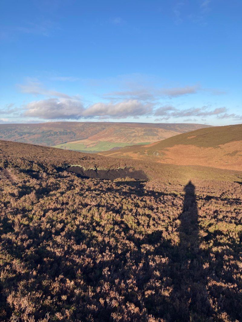 walking near me in Manor Park in winter