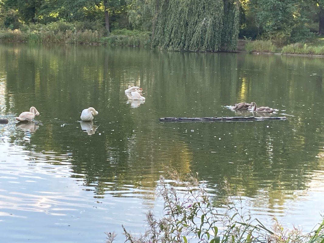 walking near me in Bürgerwiese in winter