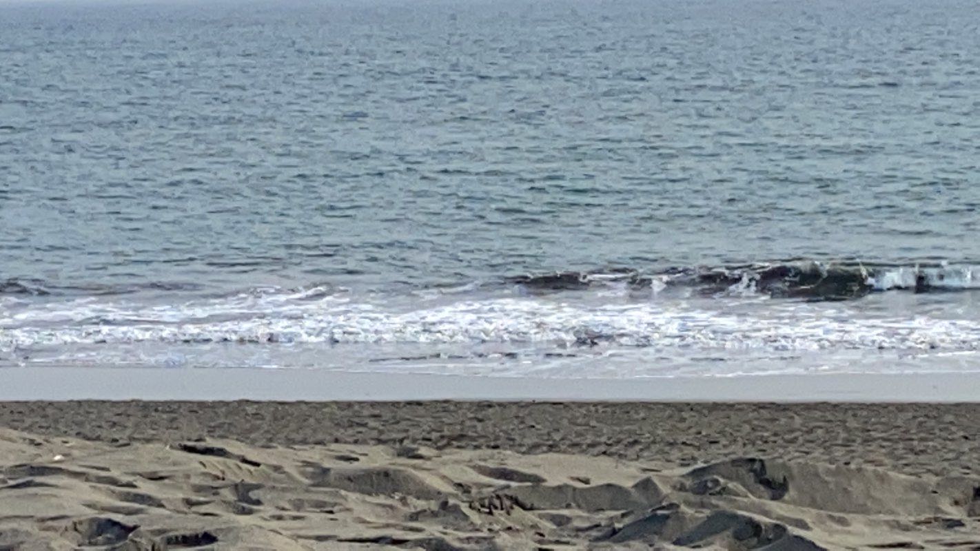 walking near me in 鵠沼運動公園(八部公園) in winter