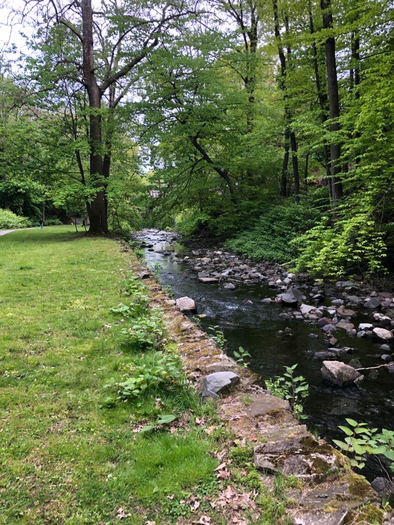 walking near me in The Glen in winter