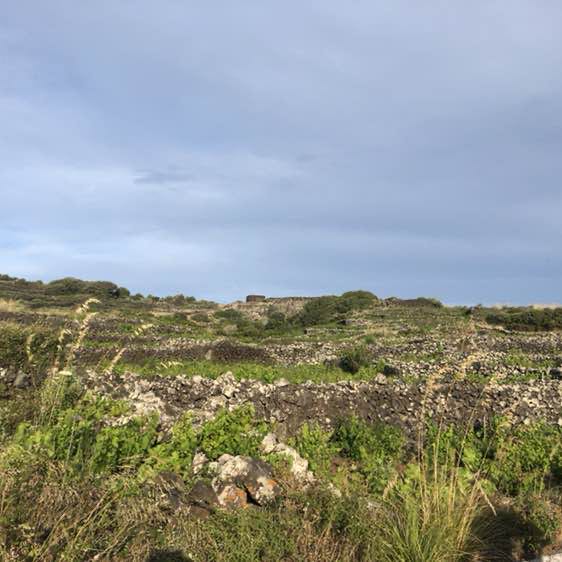 acipantelleria post 3