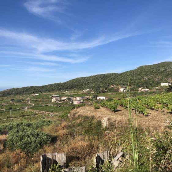 acipantelleria post 2