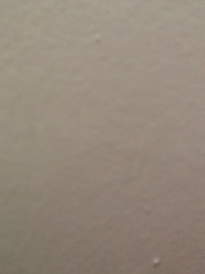 walking near me in Gordon Park in winter